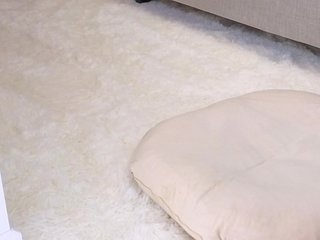 Sunshine- Porn Show