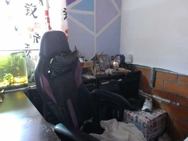 beautifulchubbyqueen live cam preview