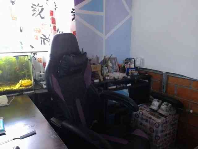 beautifulchubbyqueen webcam