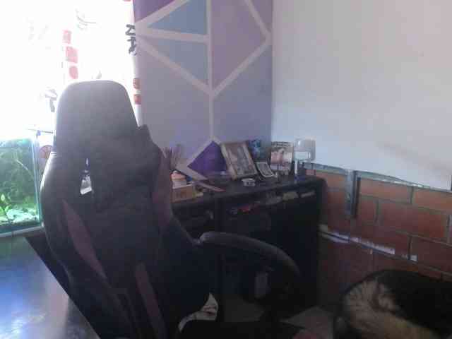 beautifulchubbyqueen webcam