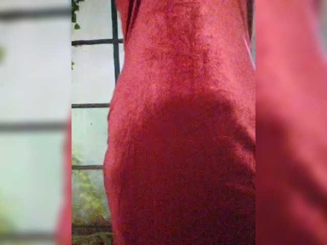 Kuca live cam preview