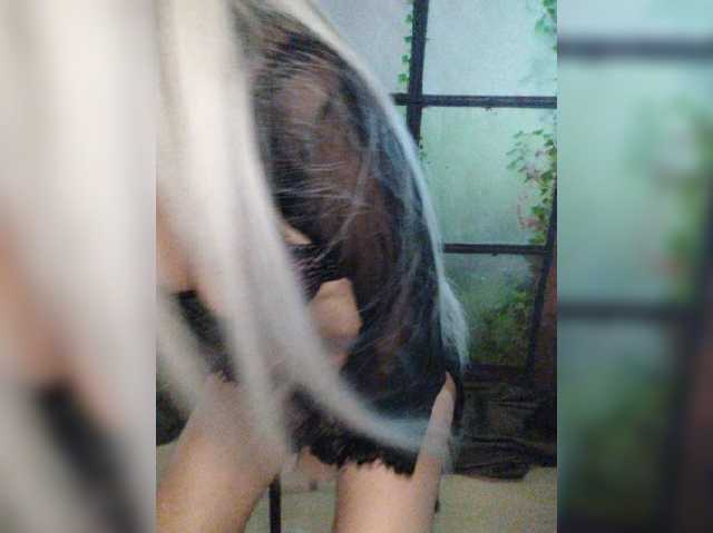 Kuca live cam preview