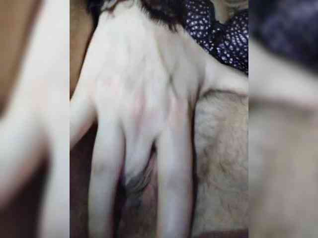 Kuca webcam