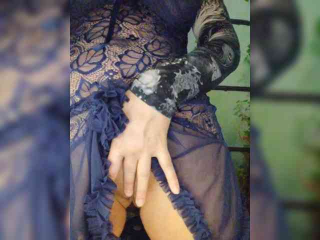 Kuca webcam