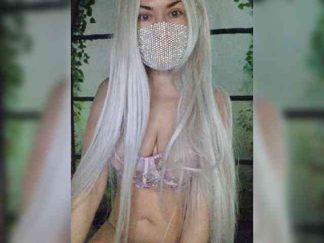 Kuca webcam
