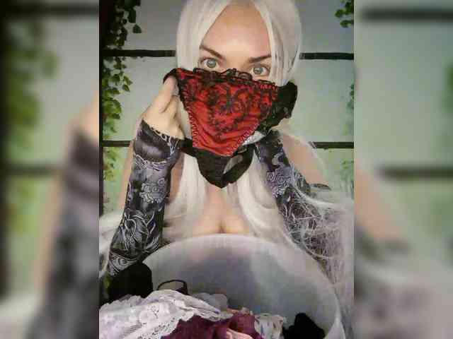 Kuca webcam