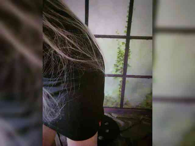 Kuca webcam