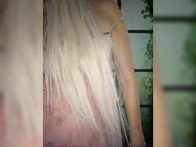 Kuca webcam