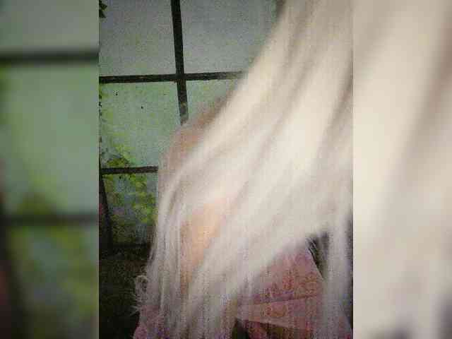 Kuca webcam