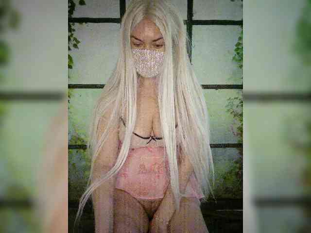 Kuca webcam