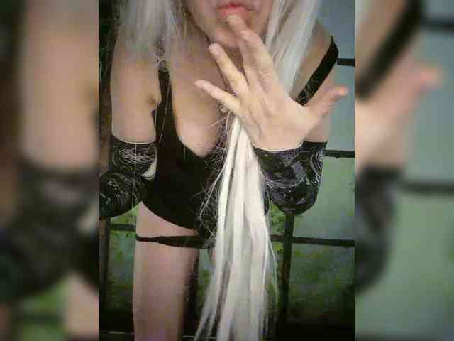 Kuca webcam