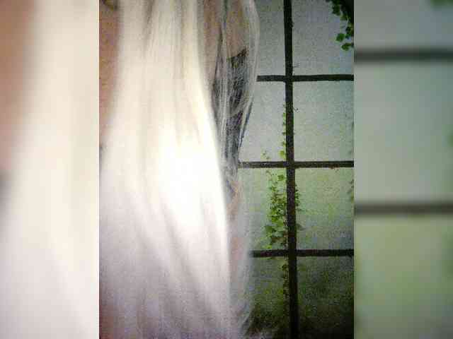 Kuca webcam
