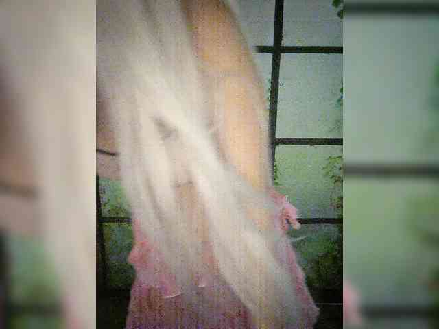 Kuca webcam