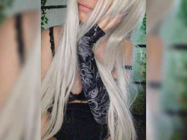 Kuca webcam