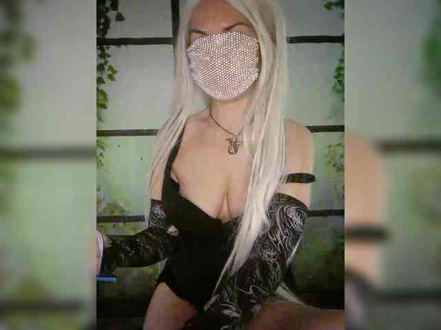 Kuca webcam