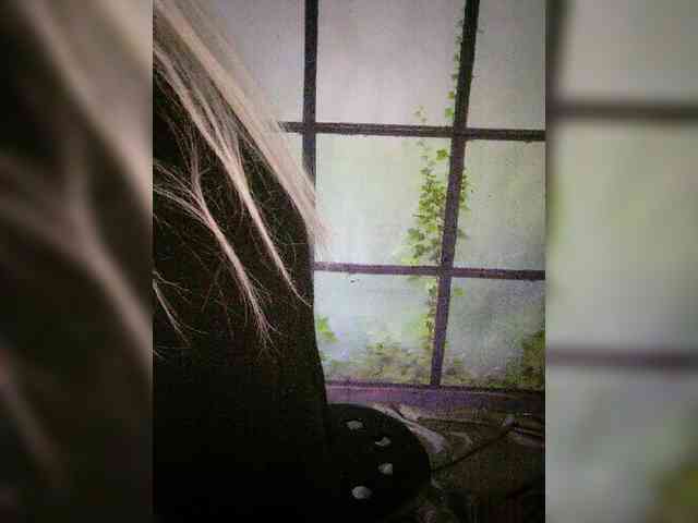 Kuca webcam