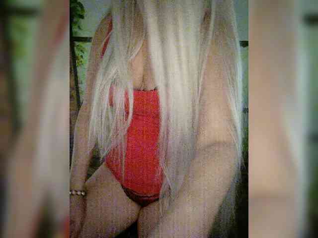 Kuca webcam