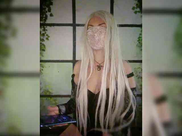 Kuca webcam