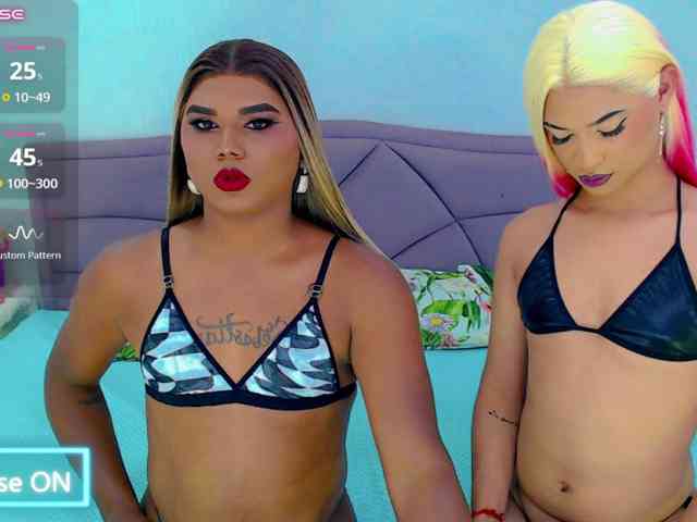 partyduotrans
