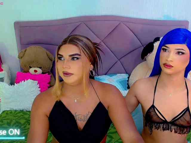 partyduotrans