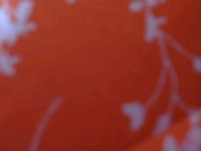 Mielly webcam