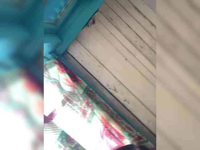 Liko_Nik webcam