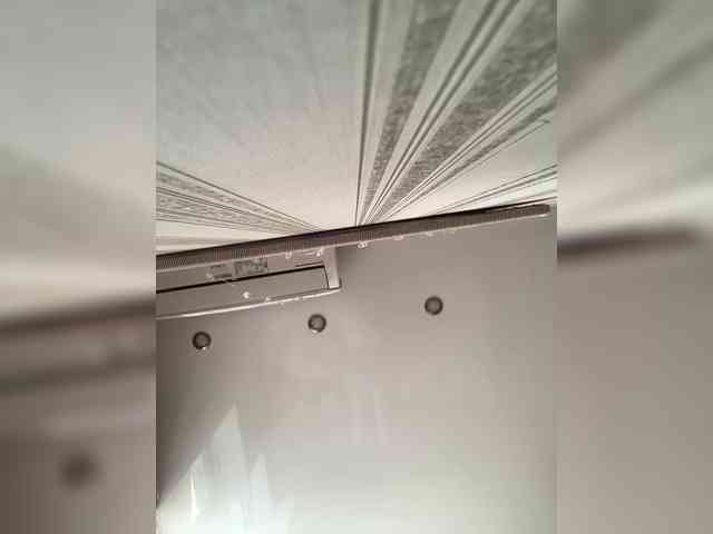 Liko_Nik webcam