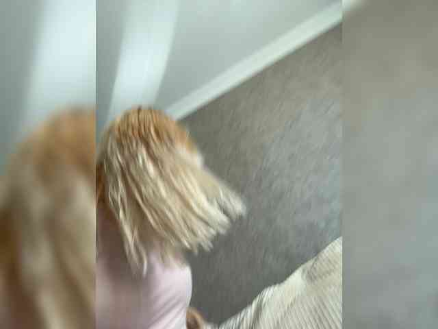 marmalata webcam
