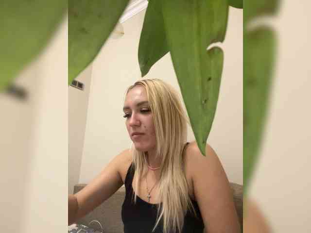 marmalata webcam