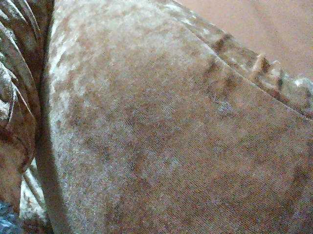 TriciaBella live cam on BongaCams
