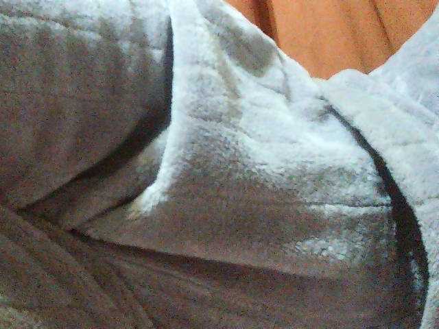 TriciaBella live cam on BongaCams