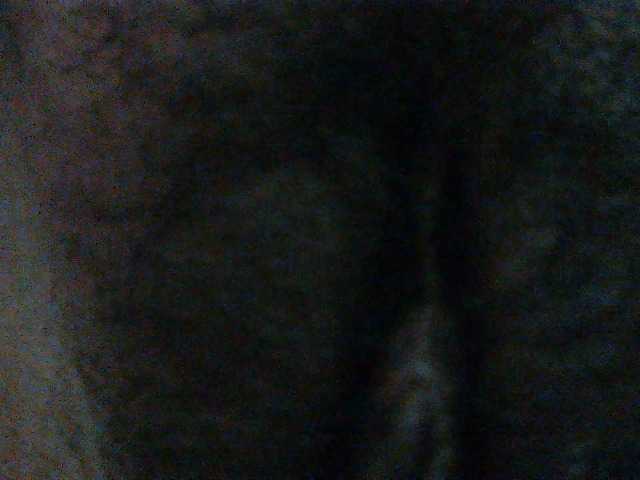 TriciaBella live cam on BongaCams