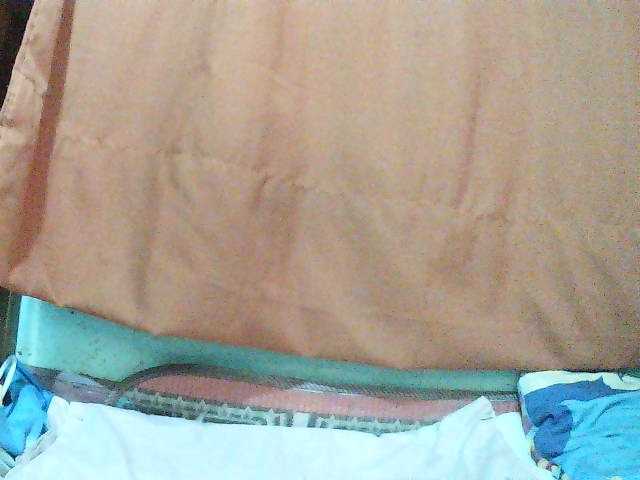 TriciaBella live cam on BongaCams