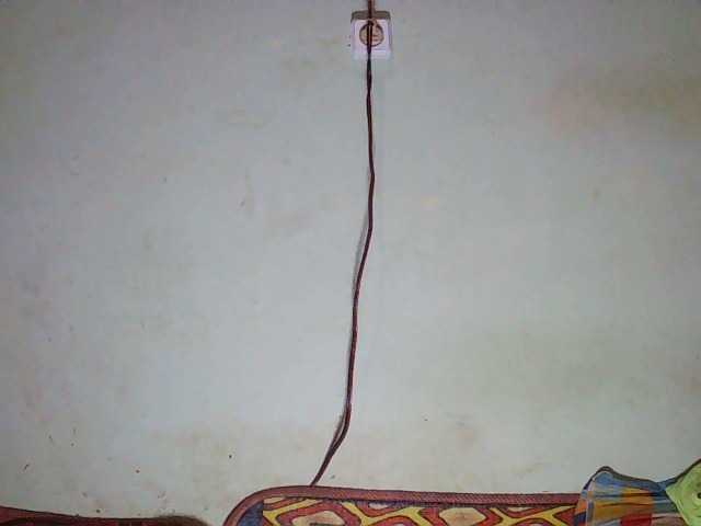 TriciaBella's BongaCams show and profile