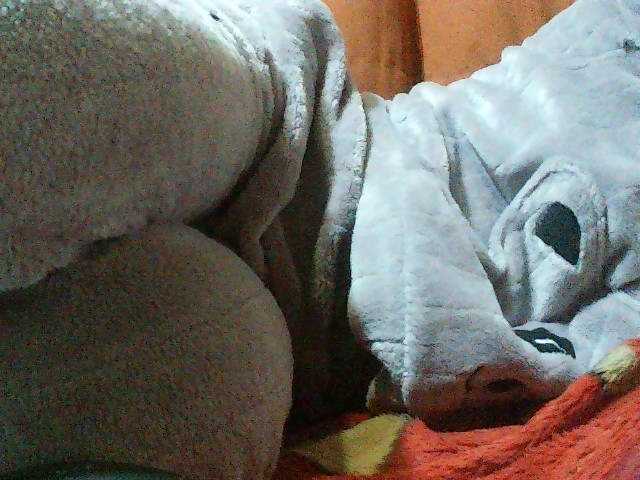 TriciaBella