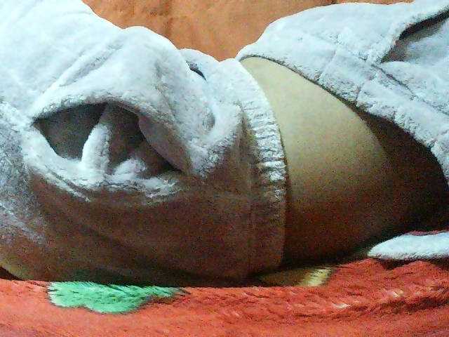 TriciaBella live cam on BongaCams