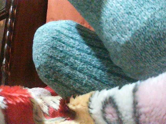 TriciaBella