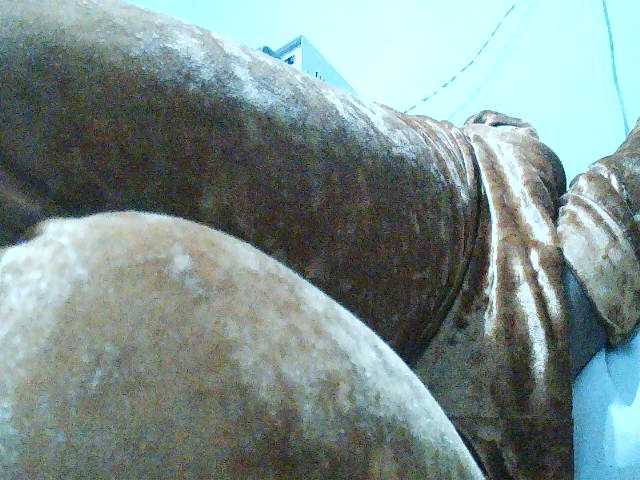 TriciaBella live cam on BongaCams