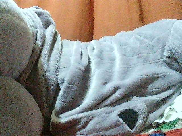 TriciaBella live cam on BongaCams