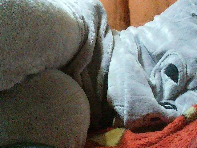 TriciaBella