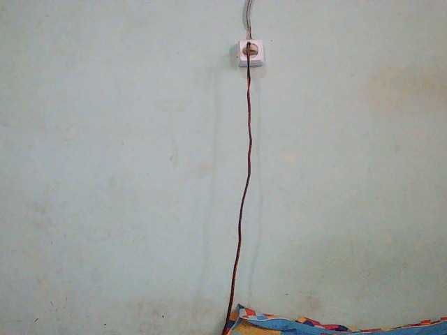 TriciaBella's BongaCams show and profile