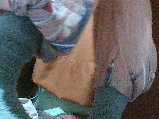 TriciaBella live cam