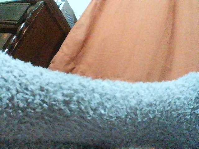 TriciaBella live cam