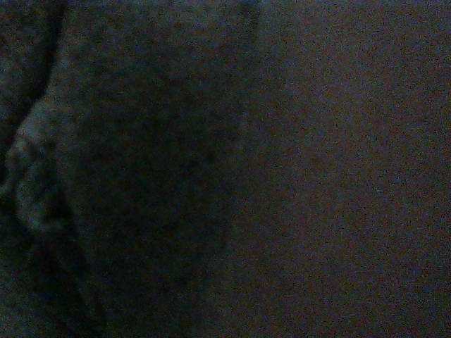 TriciaBella live cam on BongaCams