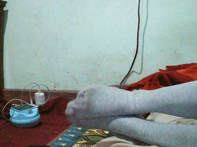 TriciaBella's BongaCams show and profile