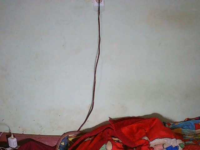 Preview of triciabella