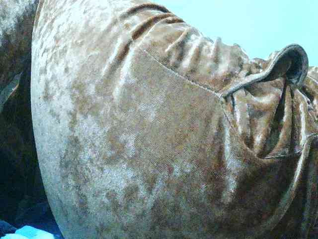 TriciaBella webcam