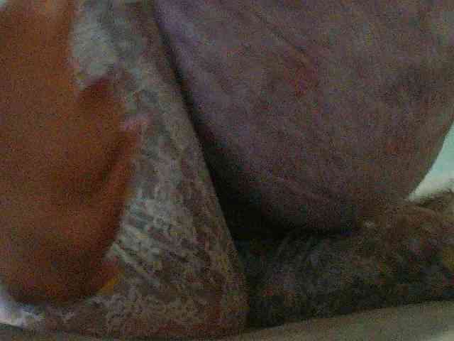 TriciaBella webcam