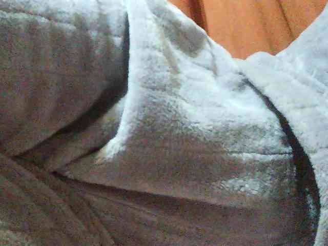 TriciaBella webcam
