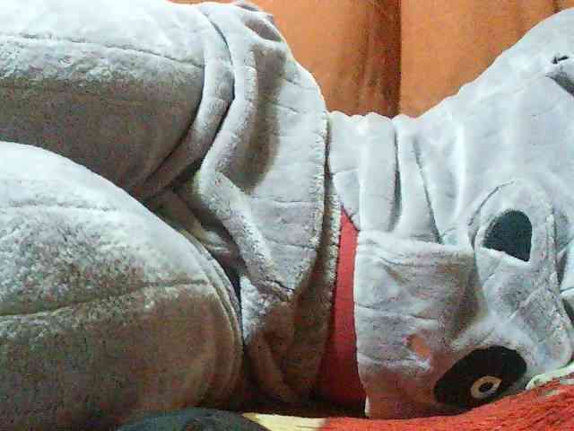 TriciaBella webcam